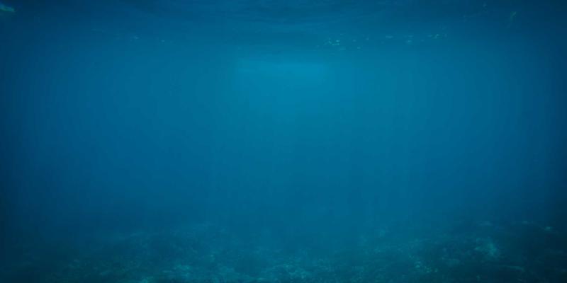 SDN实战指南:如何用软件定义网络重构数据中心,实现智能运维与效率跃升