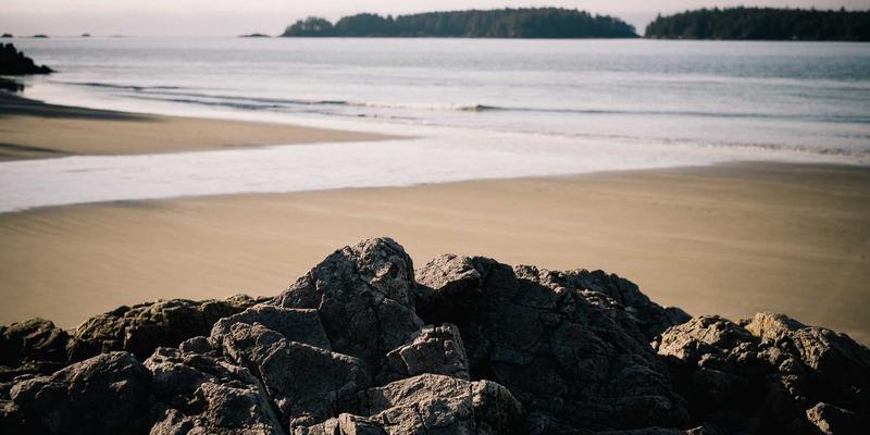 TSN技术如何重塑车载网络:从编程视角解析智能汽车的确定性通信革命