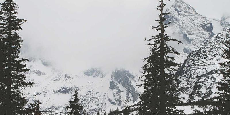 从sFlow到INT：网络遥测的涂鸦艺术，绘制全栈可观测性的技术博客