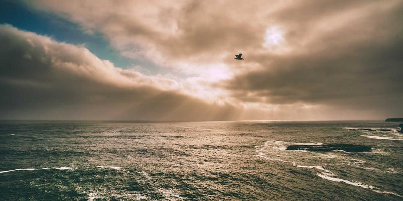 当服务网格遇见涂鸦艺术：Istio与Linkerd数据平面性能开销的量化解构与优化实战