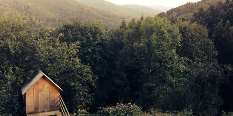 当零信任遇见涂鸦艺术:用编程思维绘制微隔离的网络安全画卷