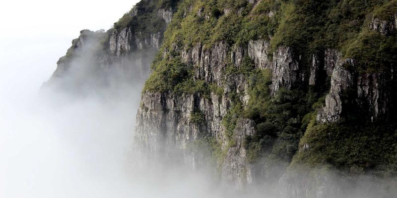 网络自动化运维：从脚本到平台，企业如何构建智能网络管理体系